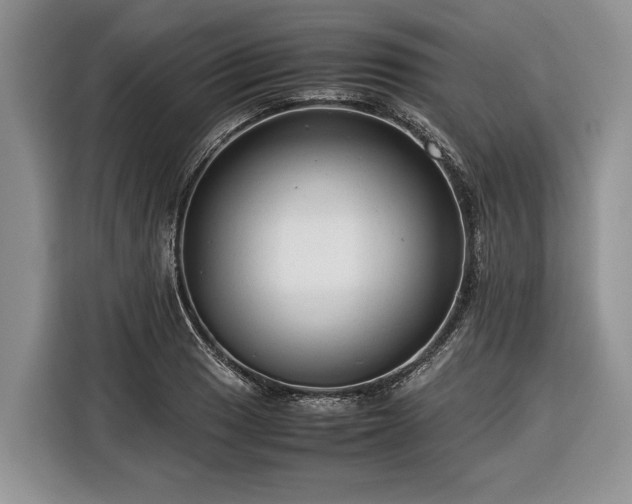 X0000116371033200912091233
