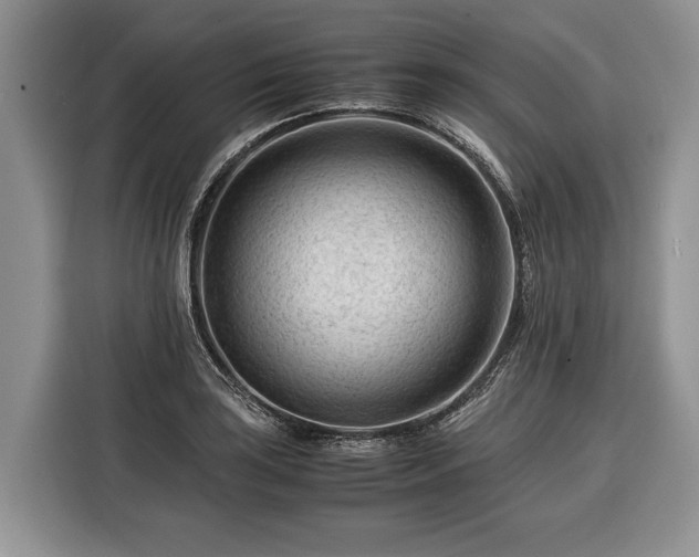 X0000116371035200912091233