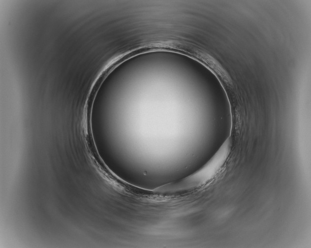 X0000116371036200912091233