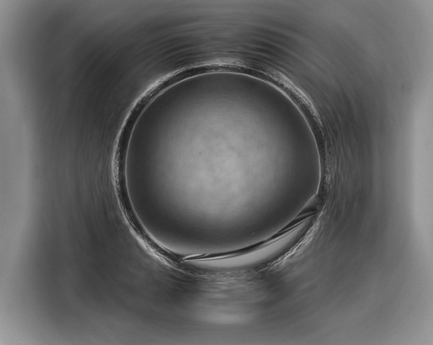 X0000116371037200912091233