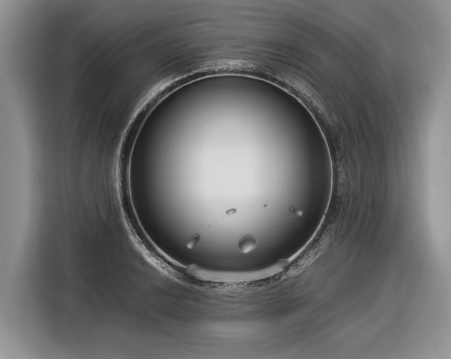 X0000116371038200912091233