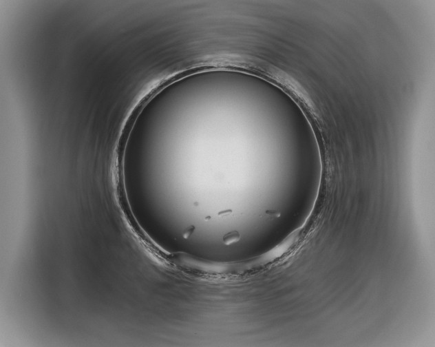 X0000116371040200912091233