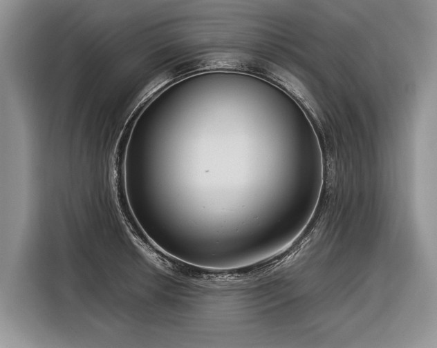 X0000116371042200912091233