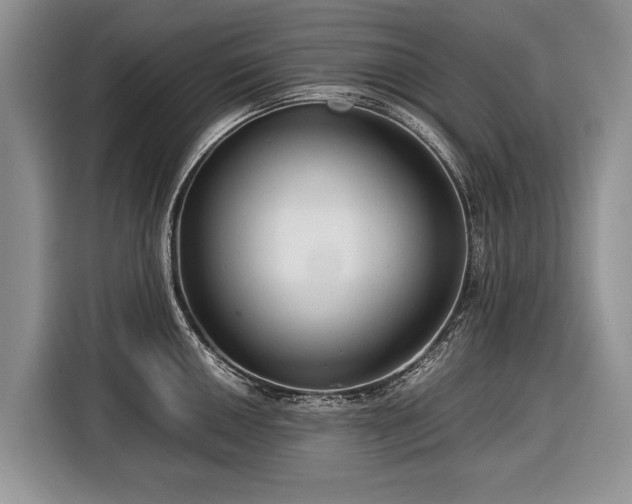 X0000116371050200912091234