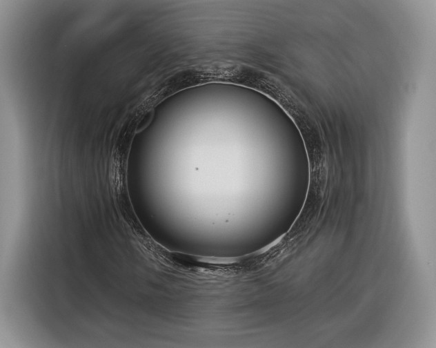 X0000116371058200912091233