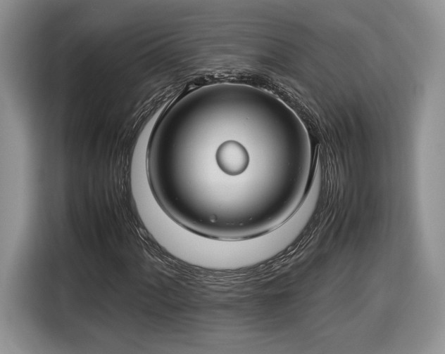 X0000116371060200912091233