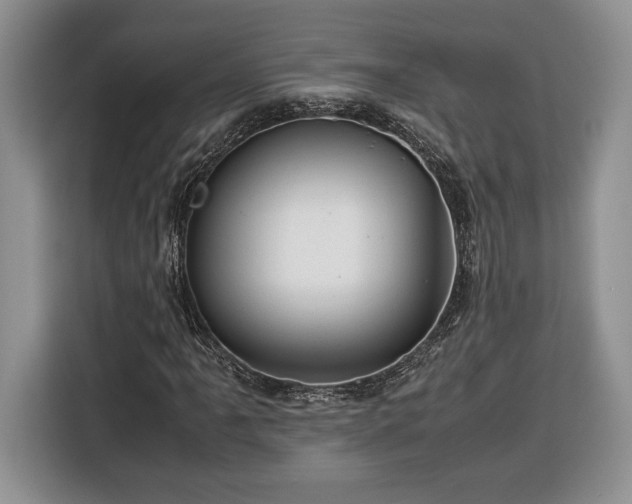 X0000116371061200912091233