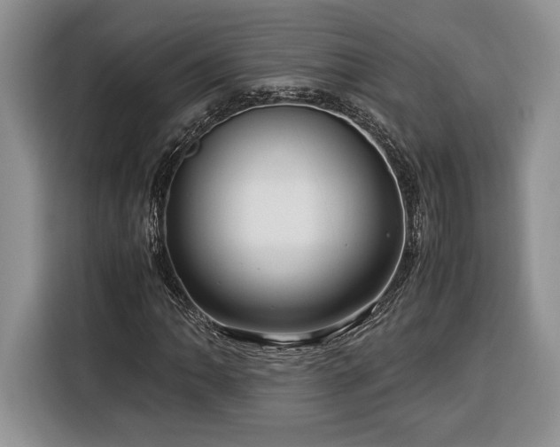 X0000116371062200912091233