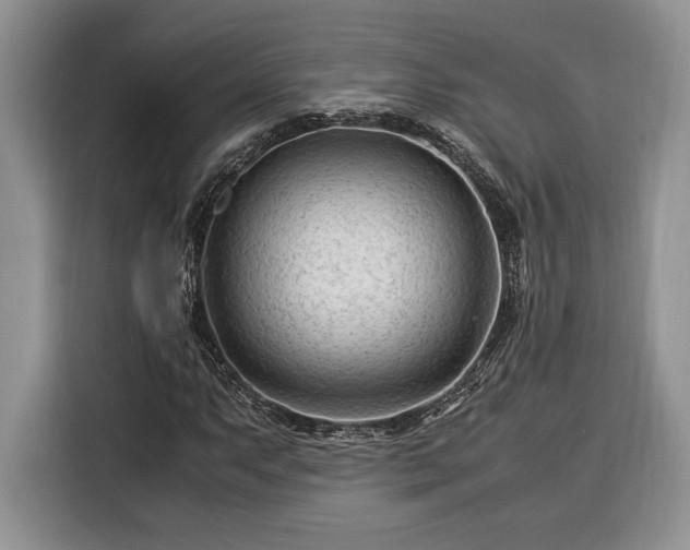 X0000116371063200912091233