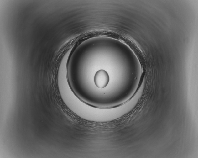 X0000116371064200912091233