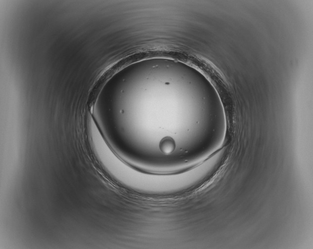 X0000116371065200912091233