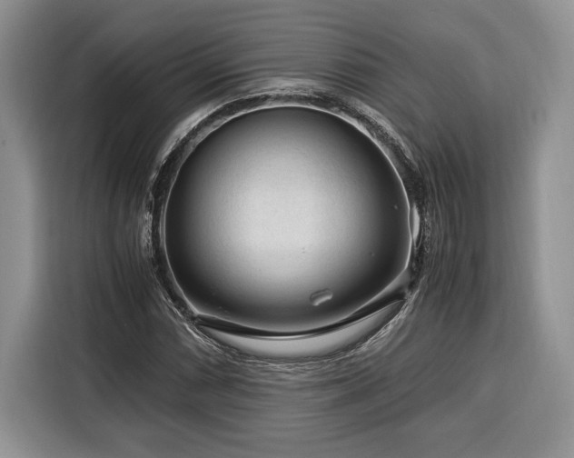 X0000116371066200912091233