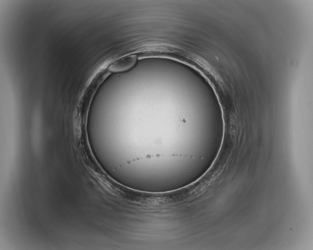 X0000116371067200912091233