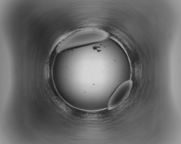 X0000116371069200912091233