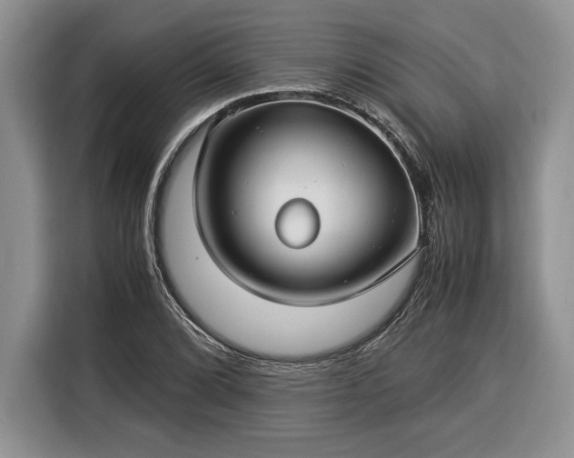 X0000116371072200912091233