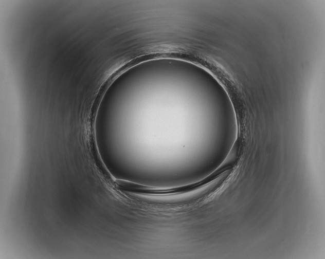 X0000116371073200912091233