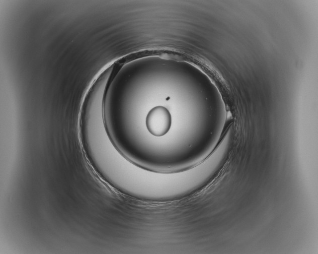 X0000116371076200912091233