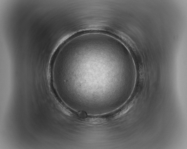 X0000116371077200912091233