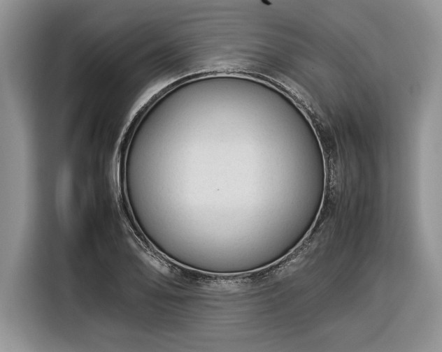 X0000116371078200912091233