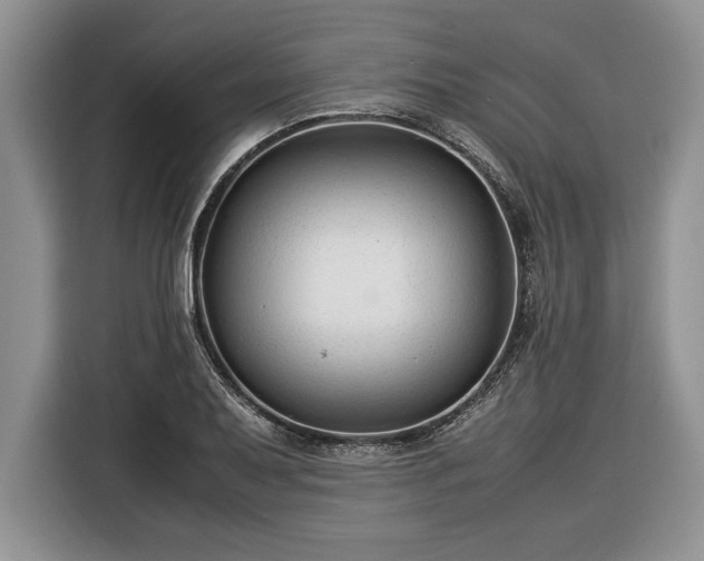 X0000116371079200912091233