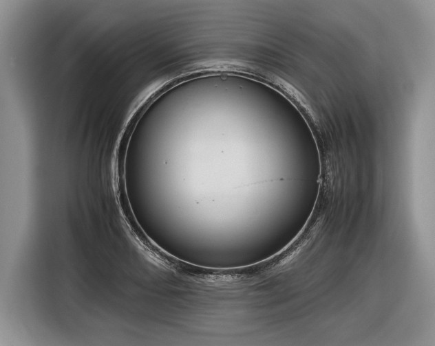 X0000116371082200912091233