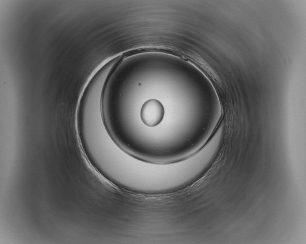 X0000116371084200912091233