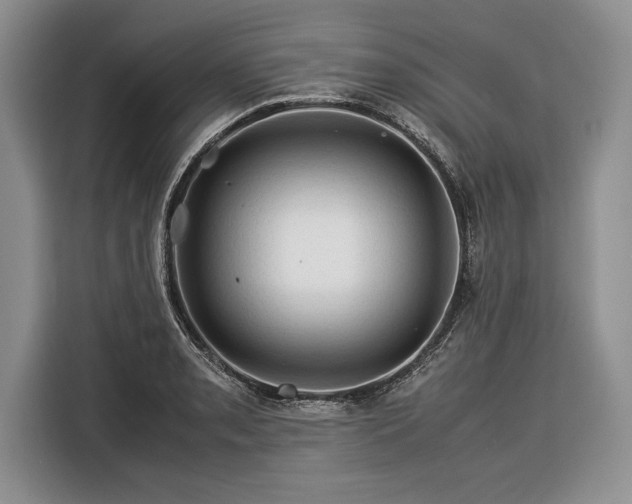 X0000116371085200912091233