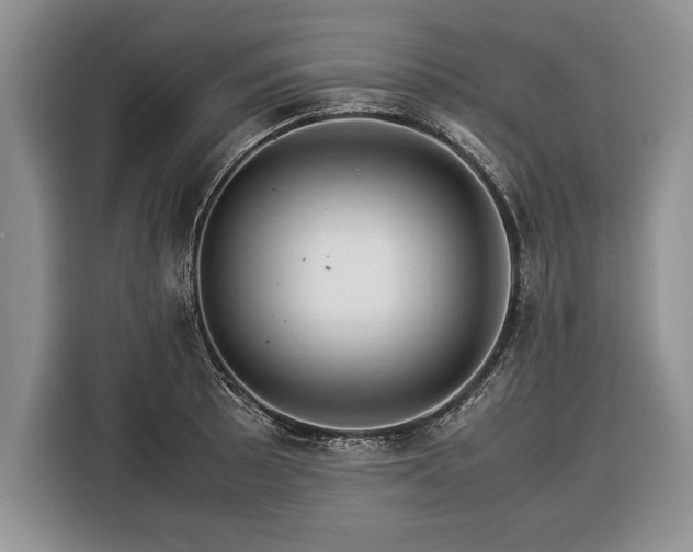 X0000116371089200912091233