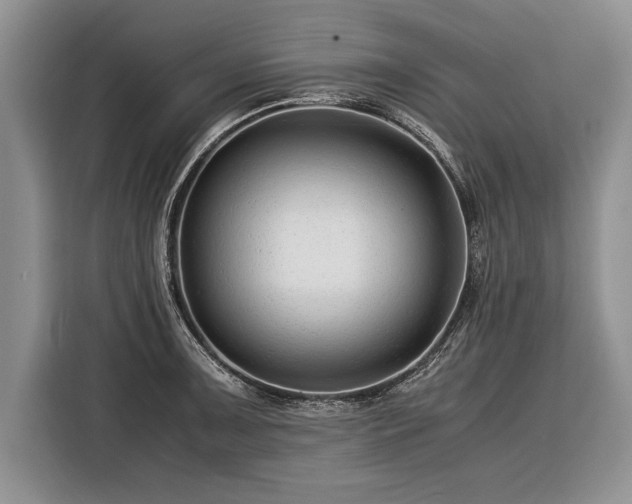 X0000116371091200912091233