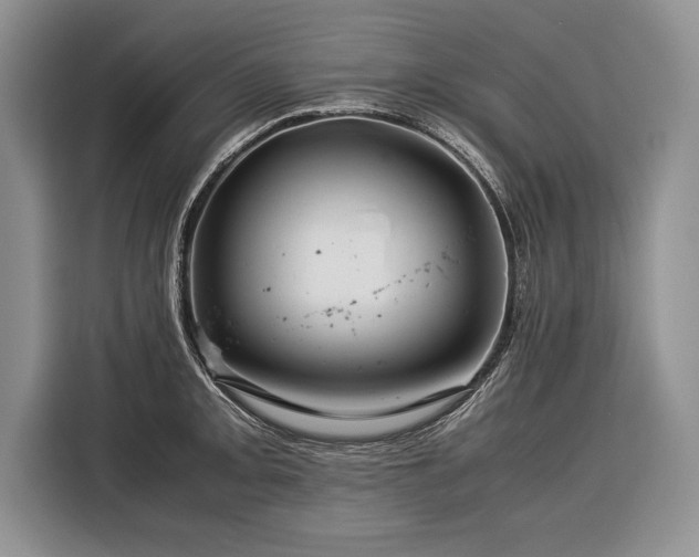 X0000116371093200912091233