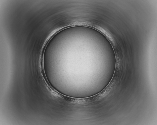 X0000116371094200912091233