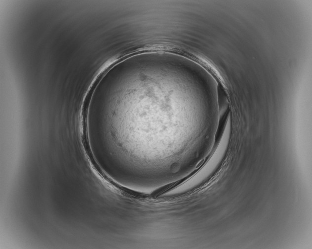 X0000116371095200912091233