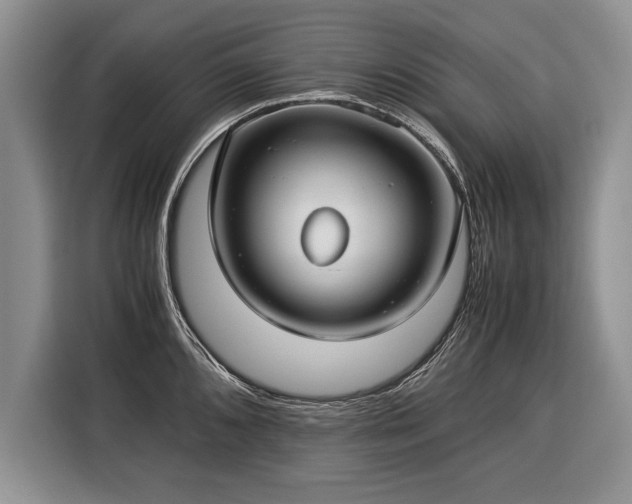 X0000116371096200912091233