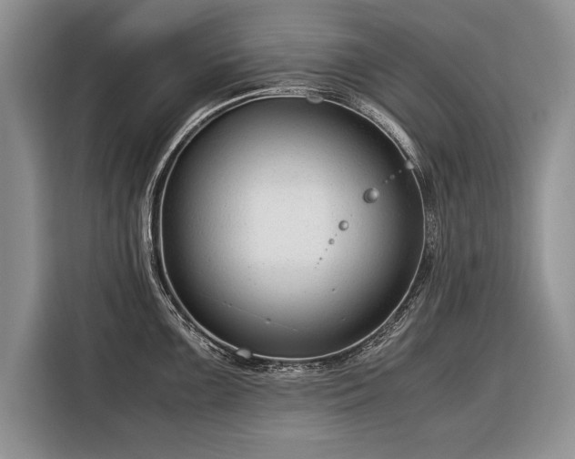 X0000116371099200912091232