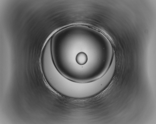 X0000116371100200912091232