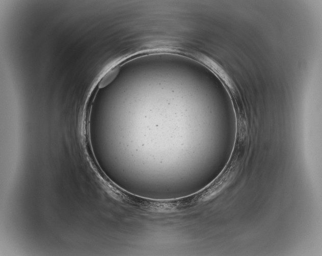 X0000116371101200912091232