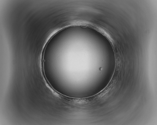 X0000116371103200912091232