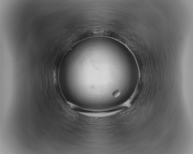 X0000116371106200912091232