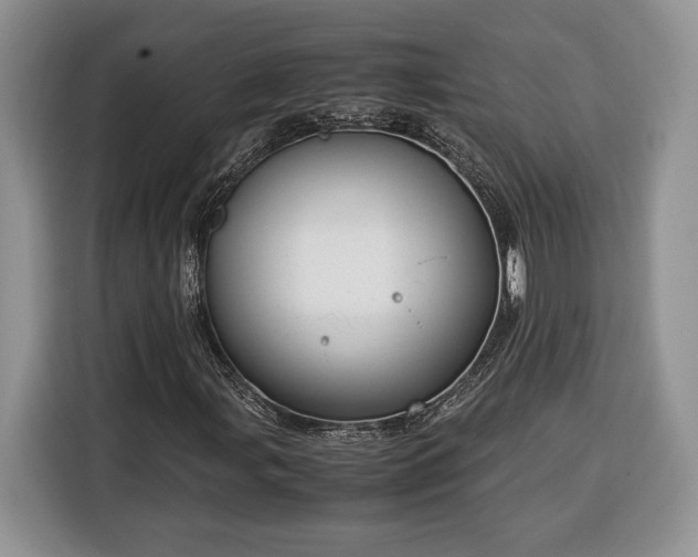 X0000116371107200912091232