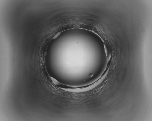 X0000116371109200912091232