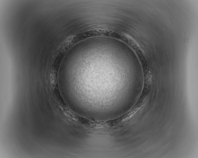 X0000116371110200912091232