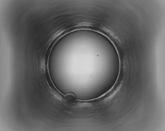 X0000116371113200912091232