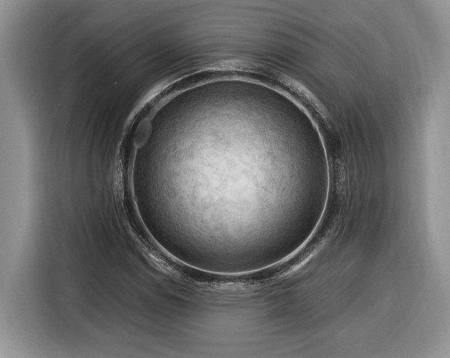 X0000116371114200912091232