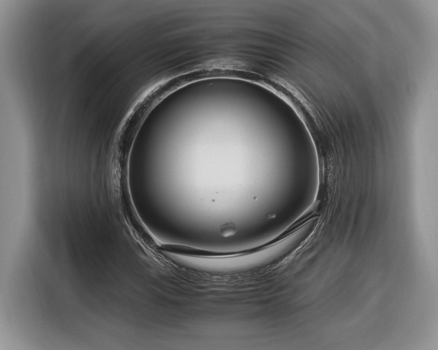 X0000116371115200912091232