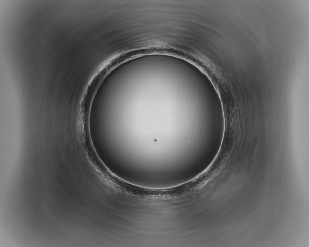 X0000116371118200912091232