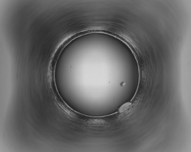 X0000116371119200912091232