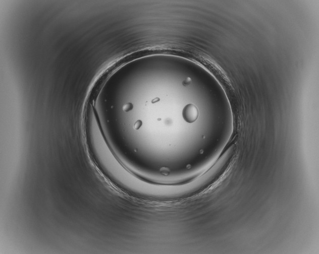 X0000116371122200912091232