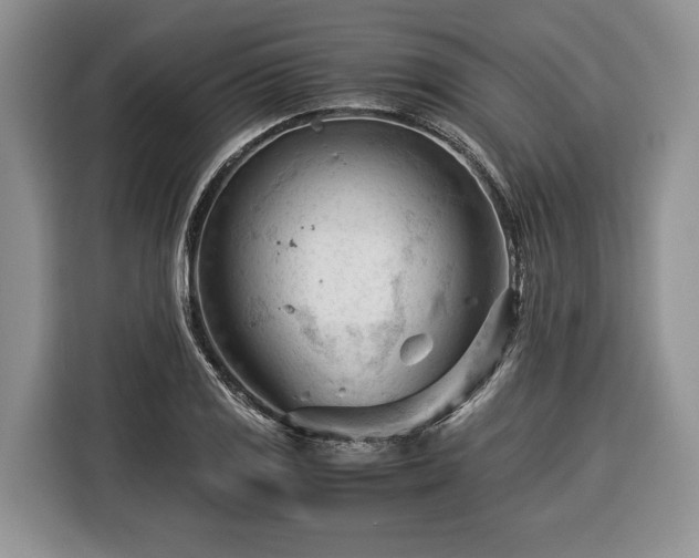 X0000116371125200912091232