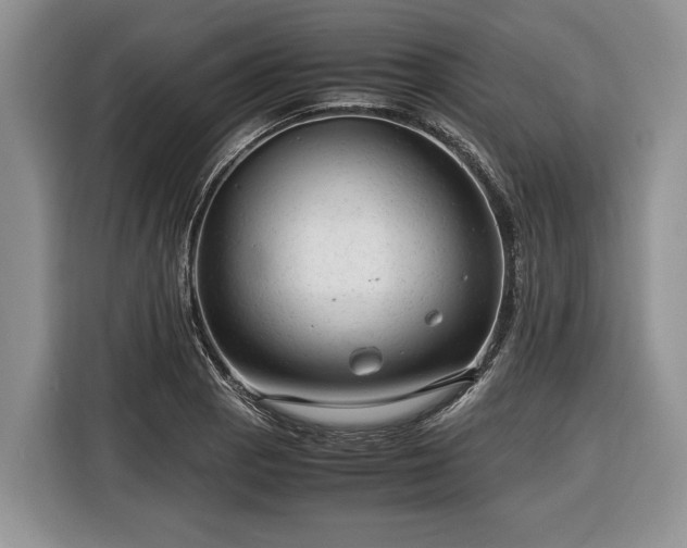 X0000116371129200912091232