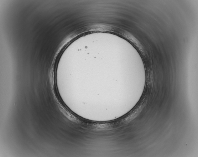 X0000116371130200912091232